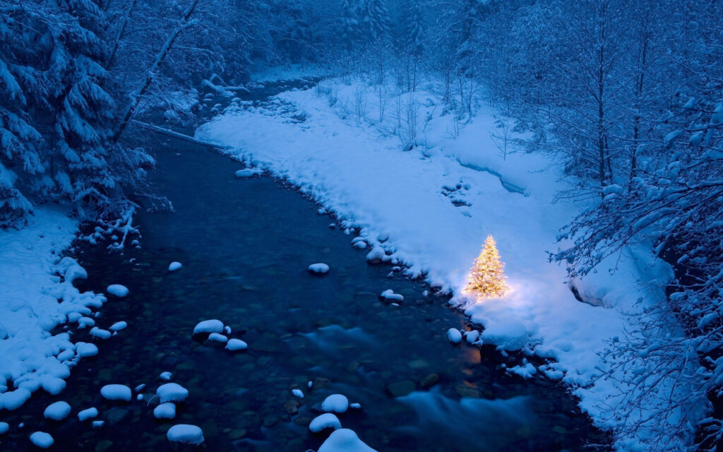 Tranquil Winter Forest with Frozen River and Festive Christmas Tree Wallpaper
