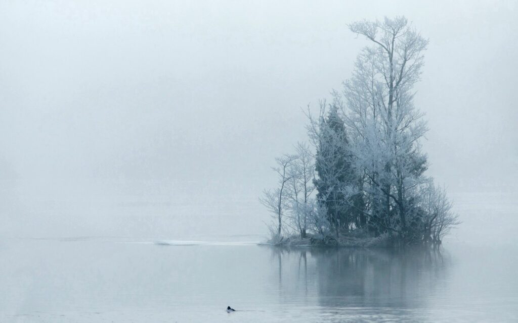Serene winter island with frost-covered trees in morning fog over still water wallpaper background