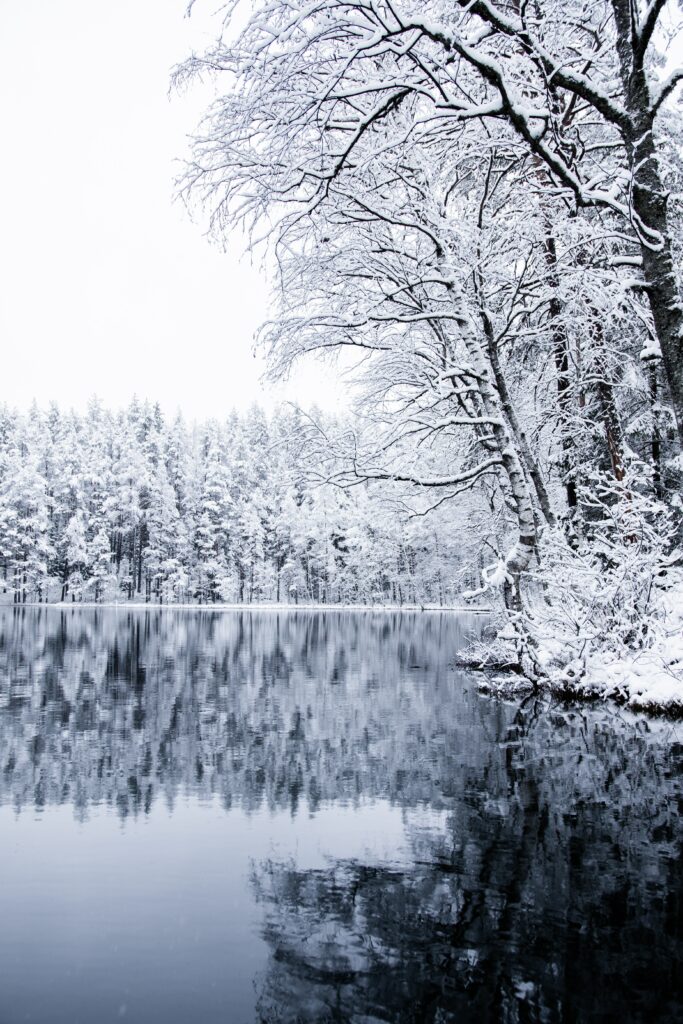 Serene winter lake with snow-covered trees reflecting in still water peaceful landscape wallpaper