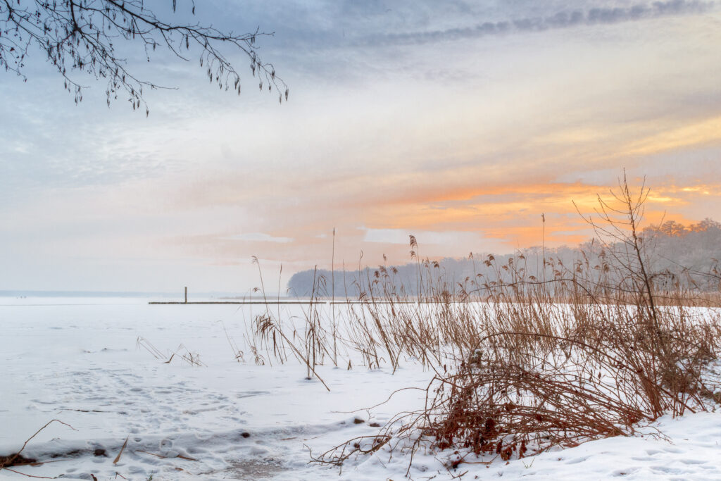 Winter lake with snow-covered reeds at sunset glowing over icy shoreline peaceful nature scene Wallpaper
