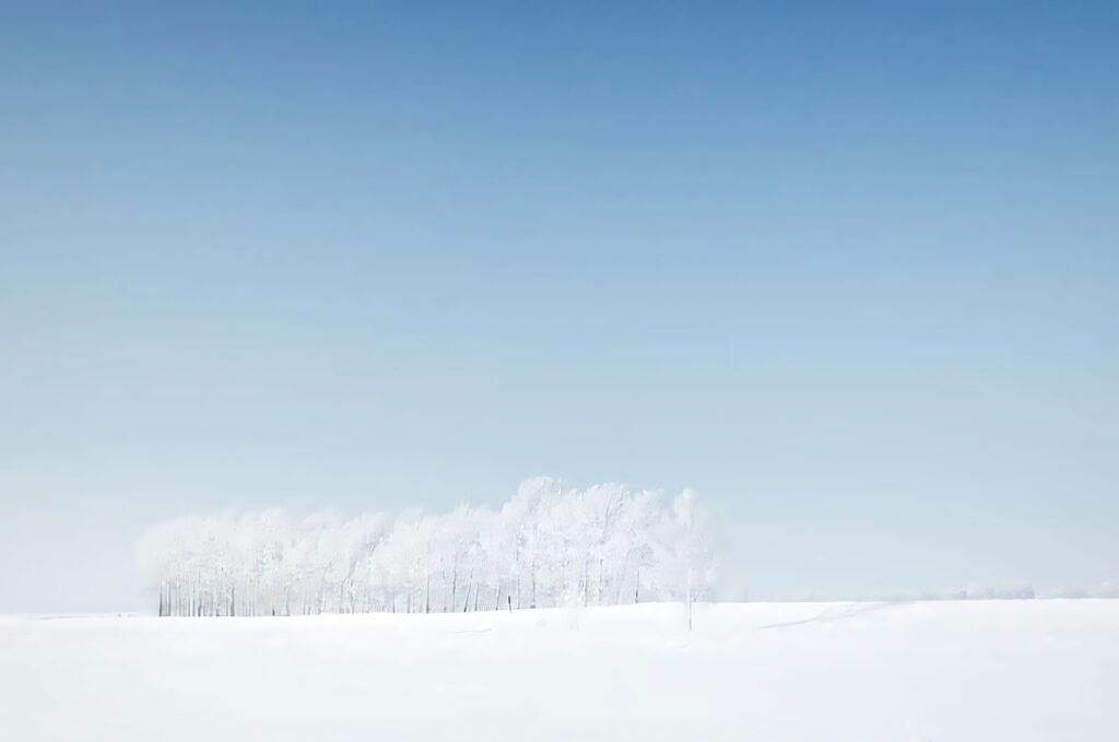 Tranquil Winter Landscape Wallpaper: Snowy Trees & Blue Sky Background