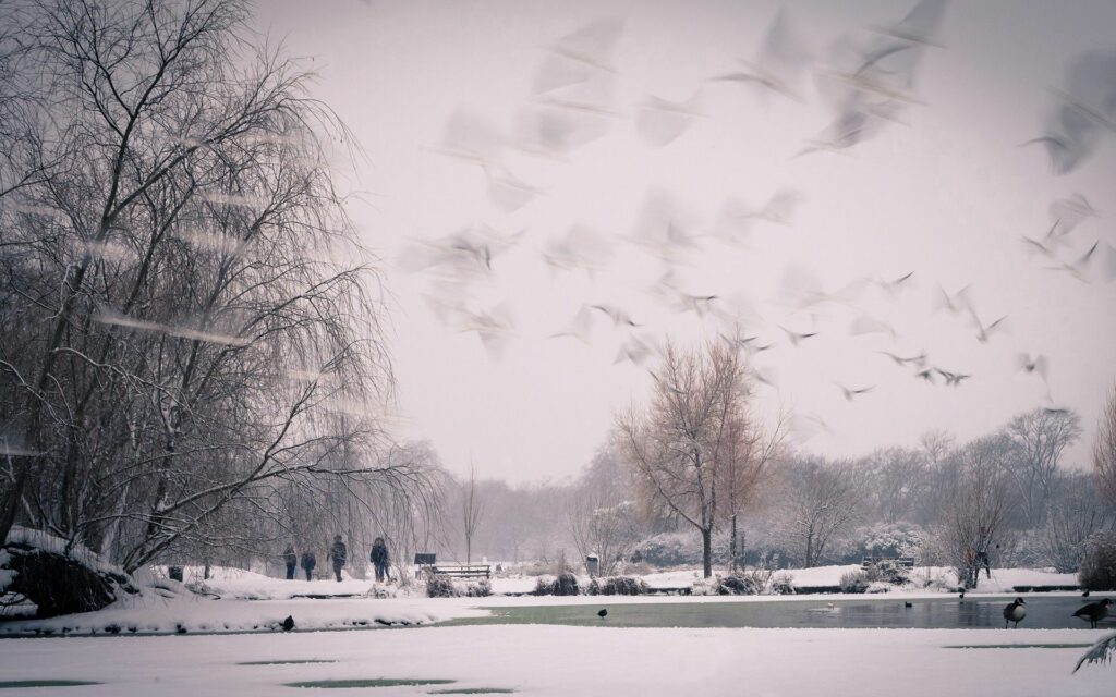 Wintry landscape wallpaper with snow, bare trees, gentle river, flying birds, and distant walkers