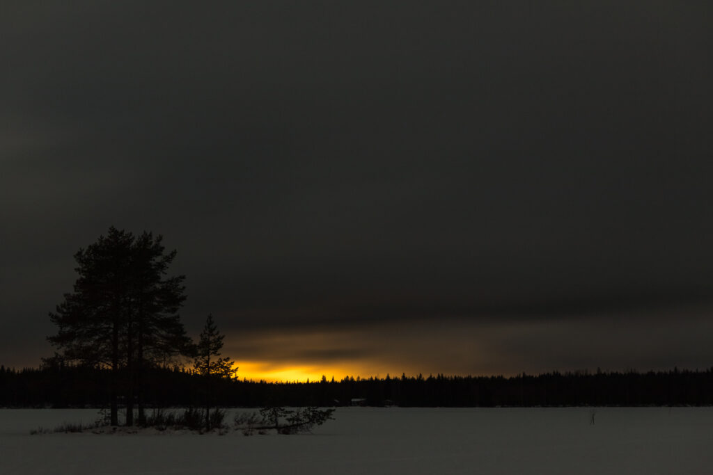 Tranquil winter landscape with snow-covered ground and tree silhouettes at golden sunset Wallpaper