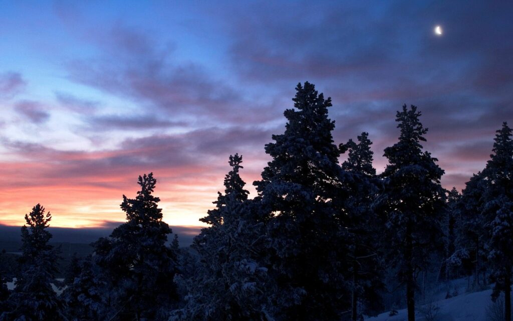 Tranquil winter landscape with snow-covered trees under a crescent moon at twilight sky Wallpaper
