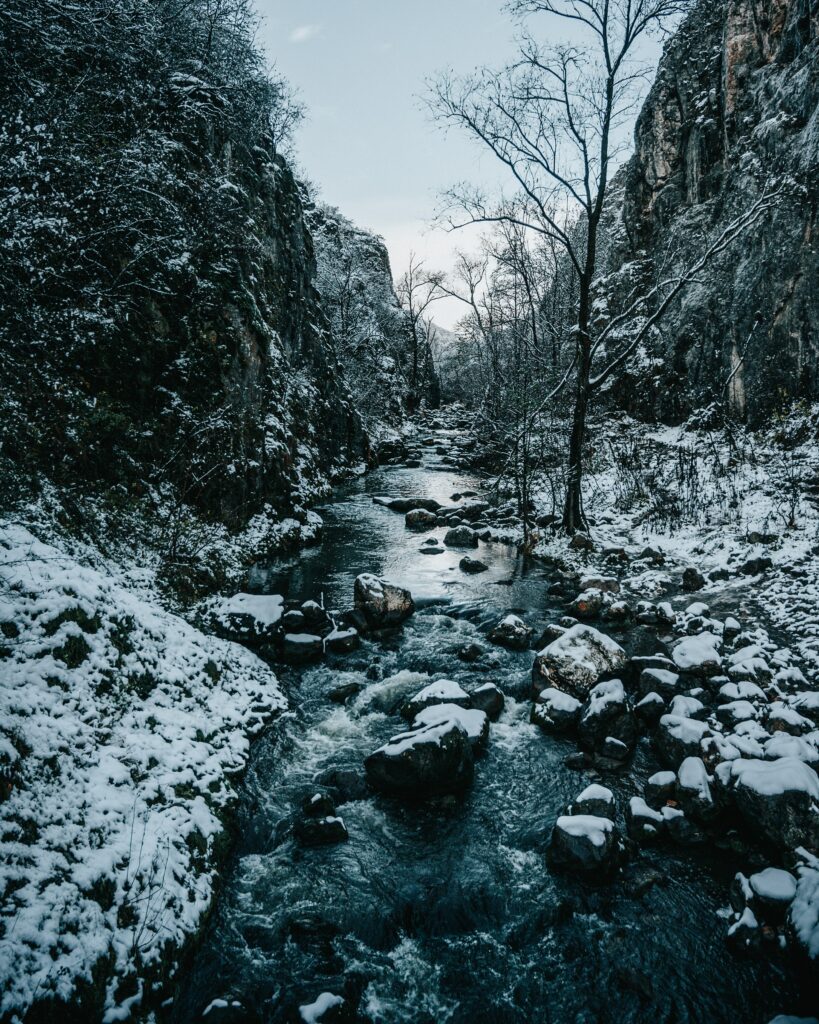 Serene winter river flowing through rocky snow-covered banks with bare trees and crisp air Wallpaper