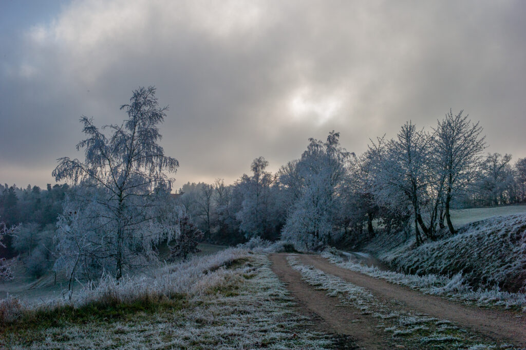Winter landscape with winding dirt road and frosted trees under cloudy sky tranquil scene Wallpaper