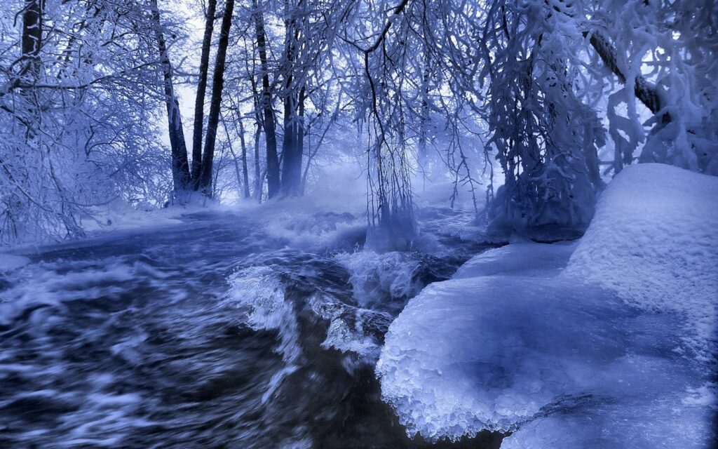 Tranquil winter stream with icy branches hoarfrost trees and snow-covered banks in blue tones Wallpaper