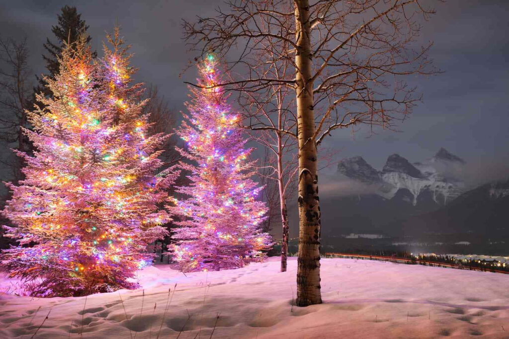Tranquil Winter Scene: Evergreen Trees & Snowy Mountains Glow Wallpaper
