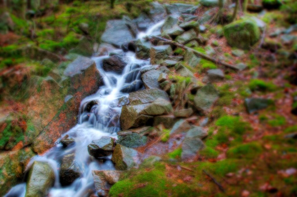 Tranquil woodland stream over mossy rocks with green leaves and soft forest background blur Wallpaper