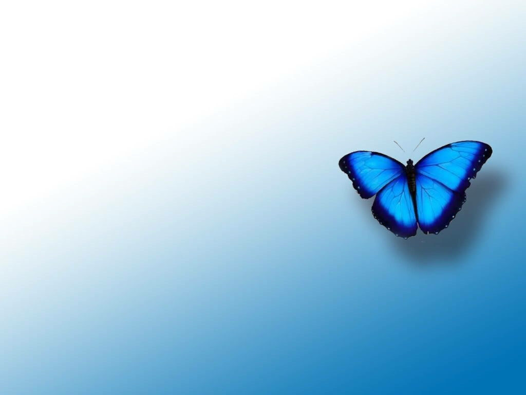 Harmony of Serenity: Captivating Blue Butterfly Gracefully Posed against a White Canvas with Subtle Splashes of Light Blue Wallpaper