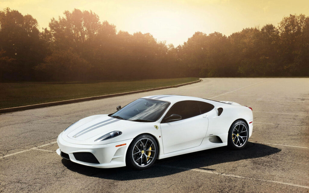 Solitary Elegance: A Majestic White Ferrari Enveloped by Serene Woodlands Wallpaper