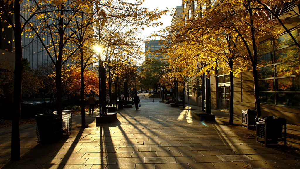 Enchanting Autumn Scenery: Trinity Square Embellished with Vibrant Trees, Urban Elements, and Illuminated by Brilliant Sunlight Wallpaper