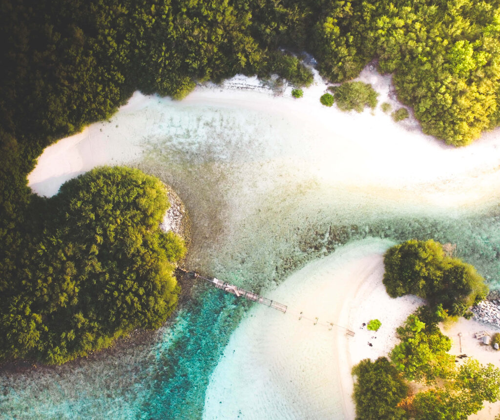 Tropical Paradise Aerial Wallpaper: Lush Greenery & Crystal Beach