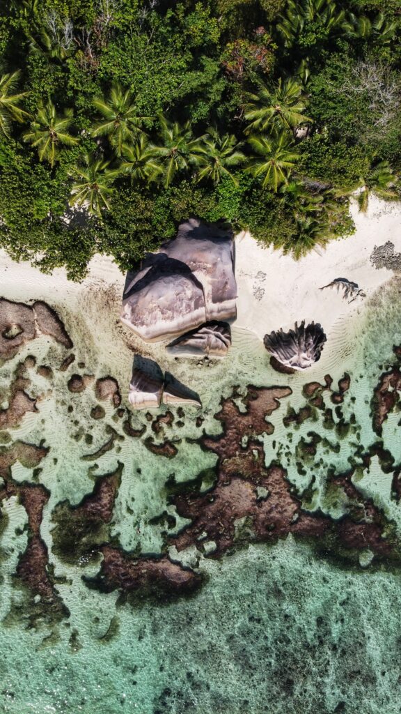 Aerial view of tropical beach with emerald water smooth granite rocks and lush green trees Wallpaper