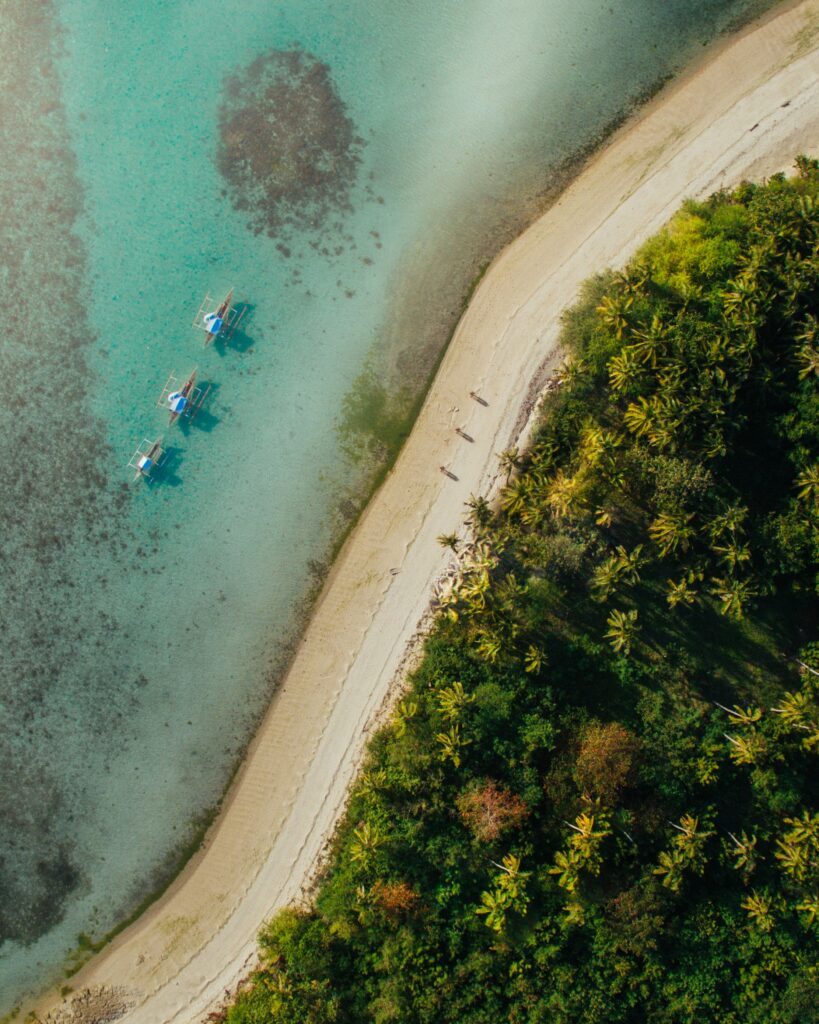 Aerial view of tropical beach with turquoise sea lush palm trees and sandy shore wallpaper background