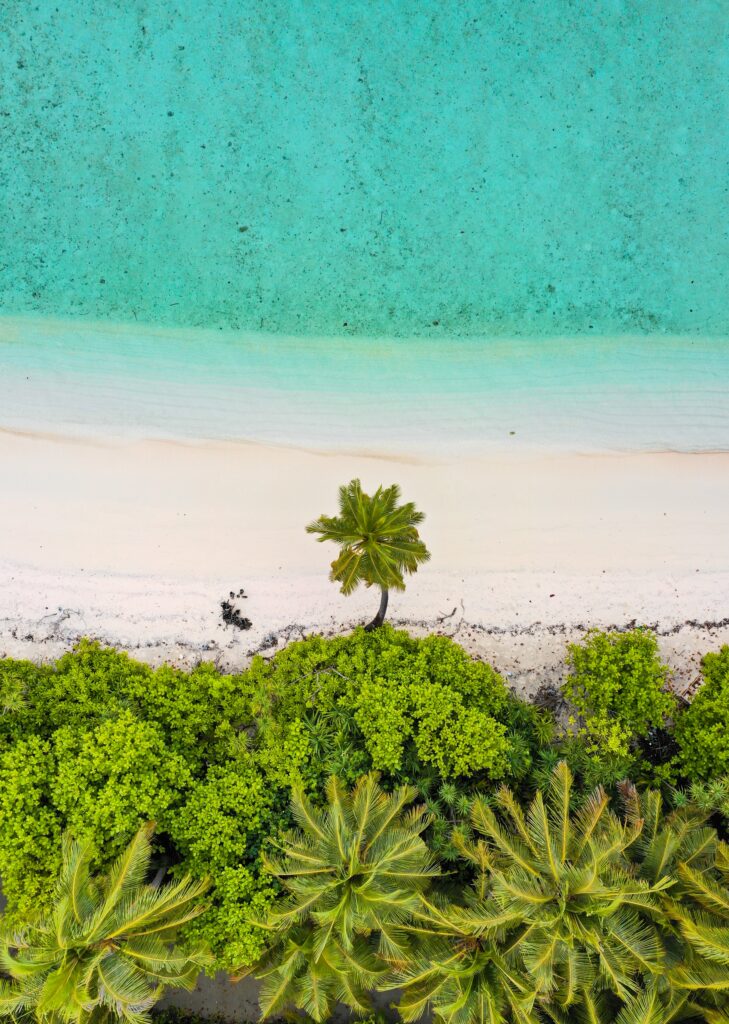 Aerial view of tropical beach with turquoise water white sand and lush green palm trees wallpaper
