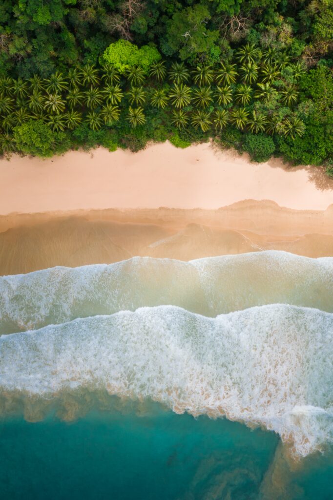 Aerial view of tropical beach with golden sand waves lush palm trees and dense green forest Wallpaper