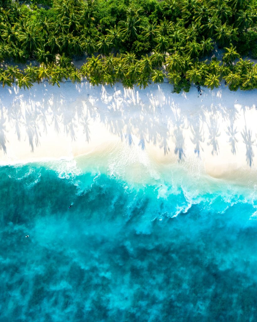 Aerial view of tropical beach with turquoise waves soft white sand and lush green palm trees Wallpaper