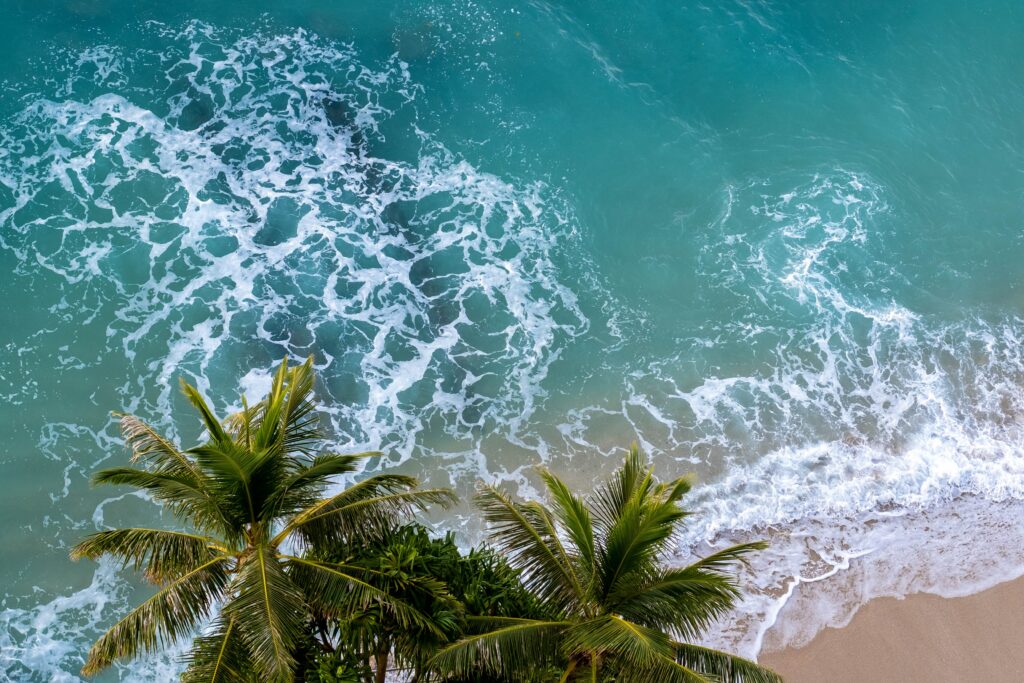 Aerial view of tropical beach with green palms turquoise waves and white foam on sandy coast Wallpaper