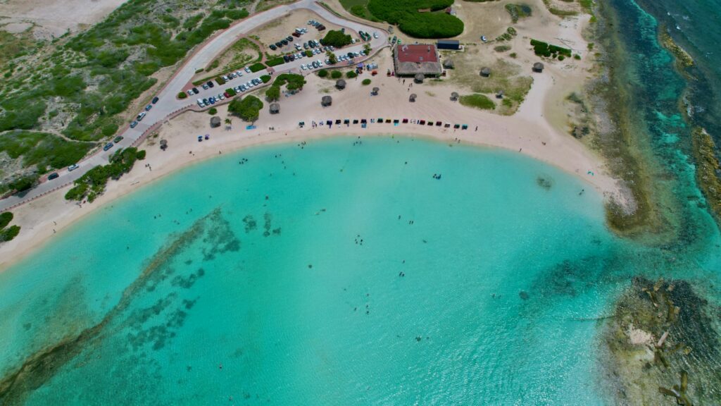 Aerial view of tropical beach with turquoise waters winding coastal road lush greenery cars Wallpaper