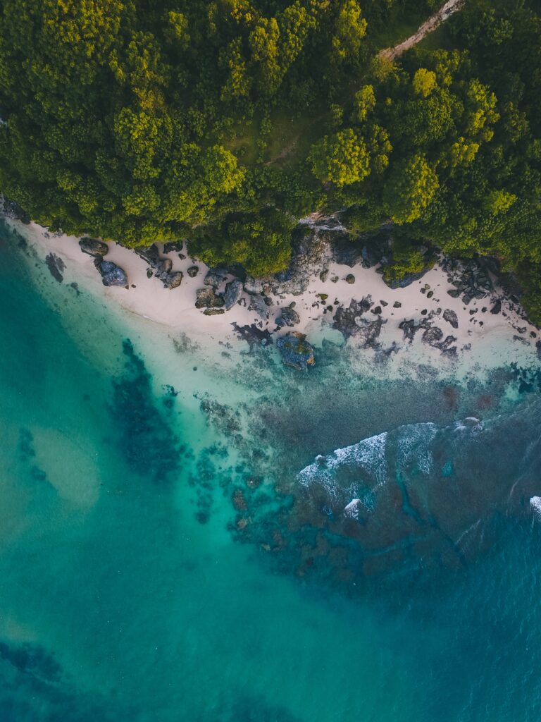 Aerial view of tropical beach with green trees white sand stones and turquoise ocean waves Wallpaper