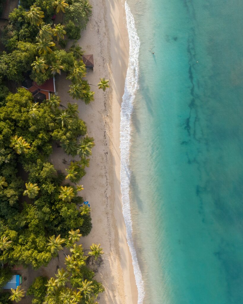 Aerial view of tropical beach with turquoise waves soft sand and lush green palm trees wallpaper