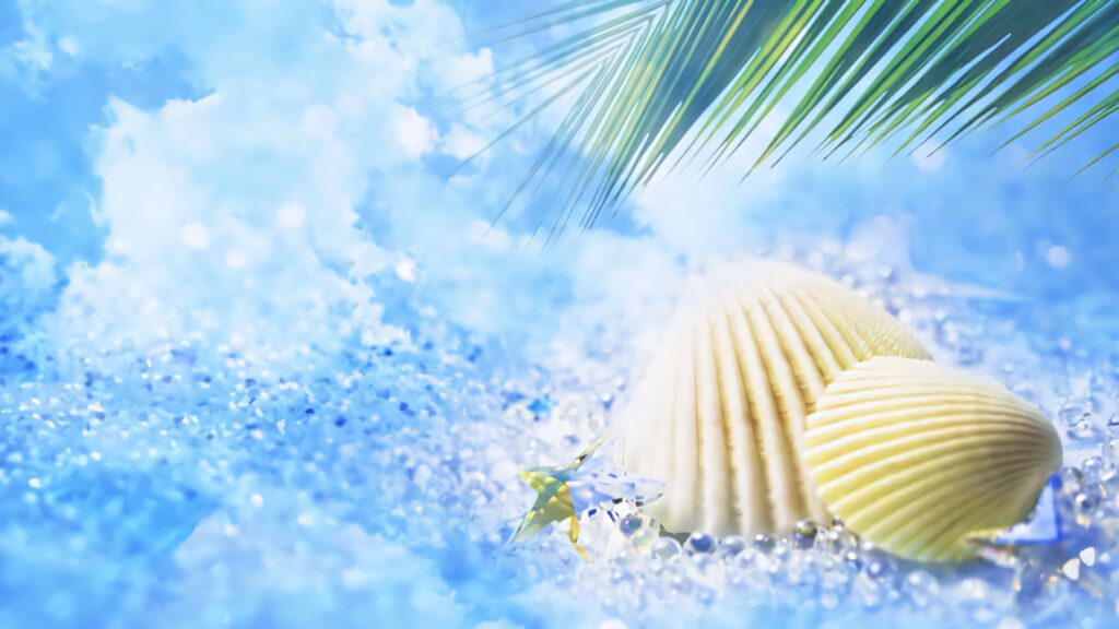 Tropical beach cockle shells on blue sand with green palm leaves creating serene summer vibe Wallpaper