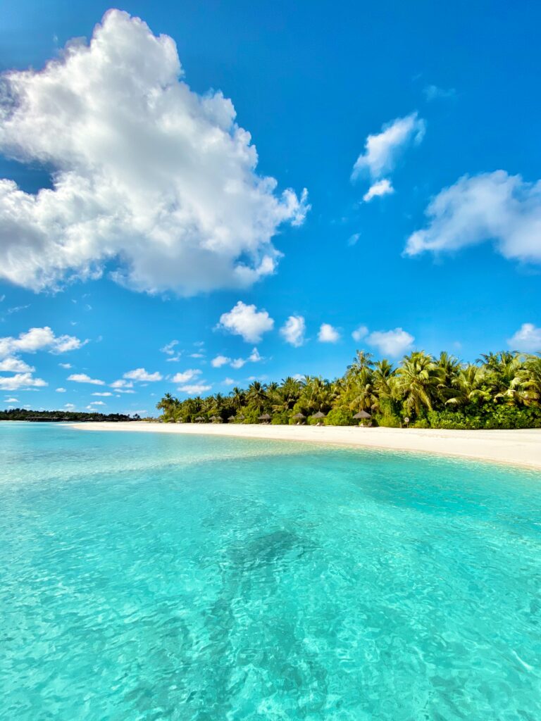 Tropical beach wallpaper with turquoise sea golden sand palm trees and blue sky in HD quality