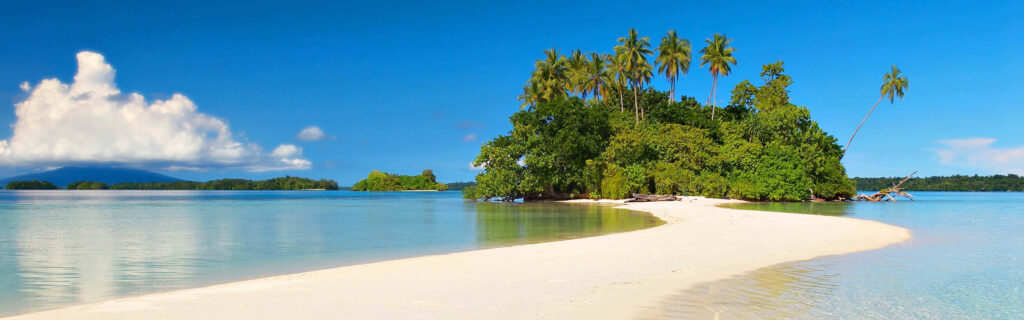 Tropical Beach Paradise Wallpaper: White Sands & Turquoise Waters
