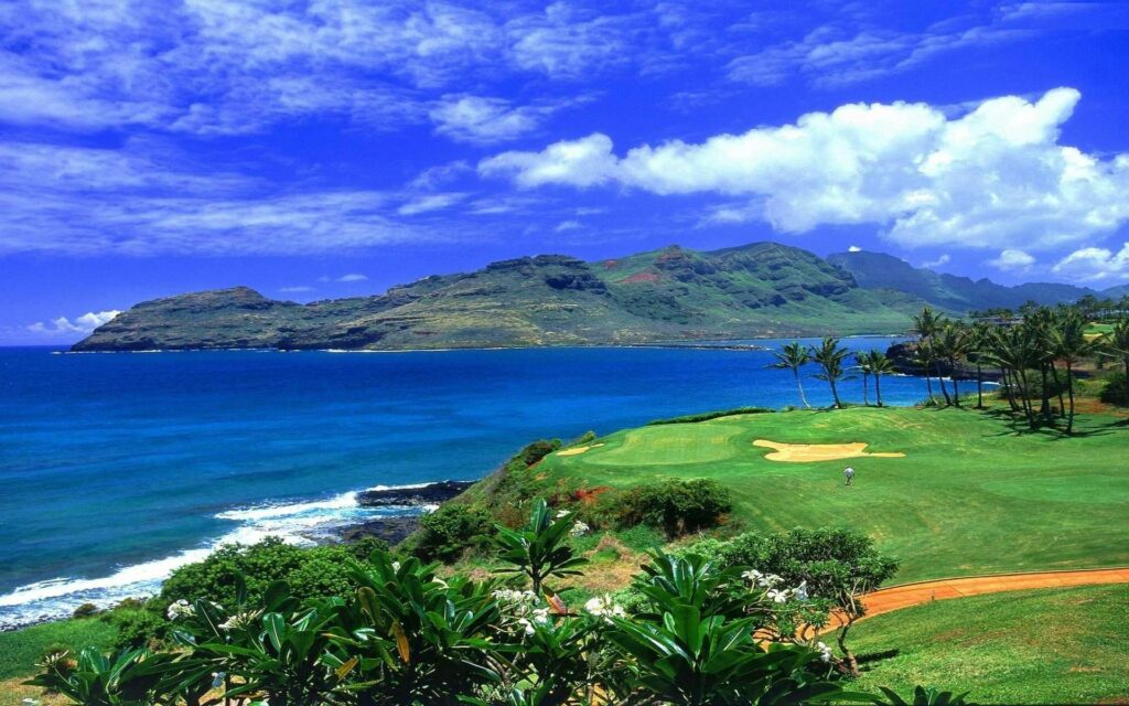 Tropical beach wallpaper with bright blue waters lush palm trees and majestic mountain background
