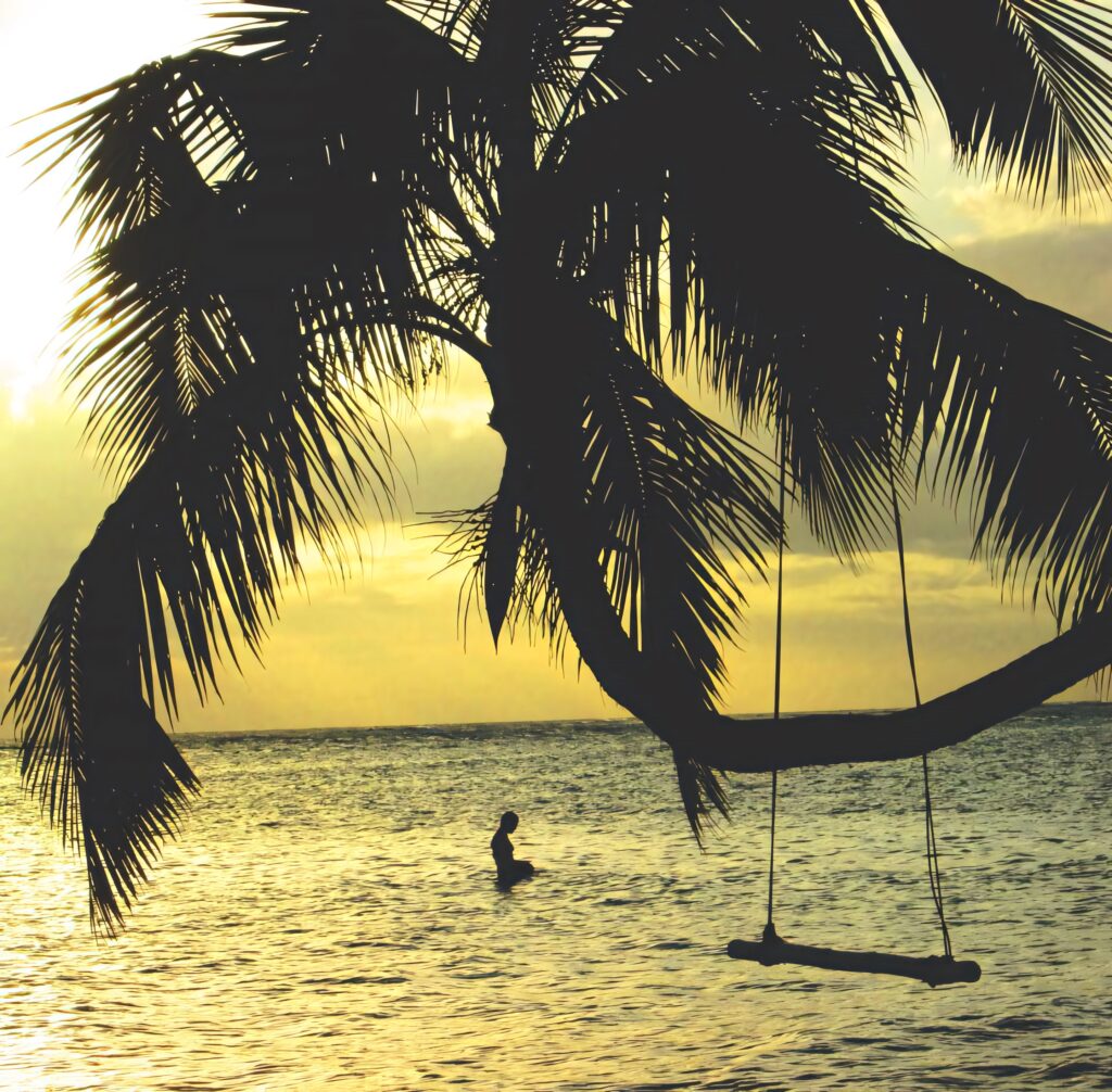 Tranquil Tropical Beach Sunset with Palm Tree Silhouette Wallpaper