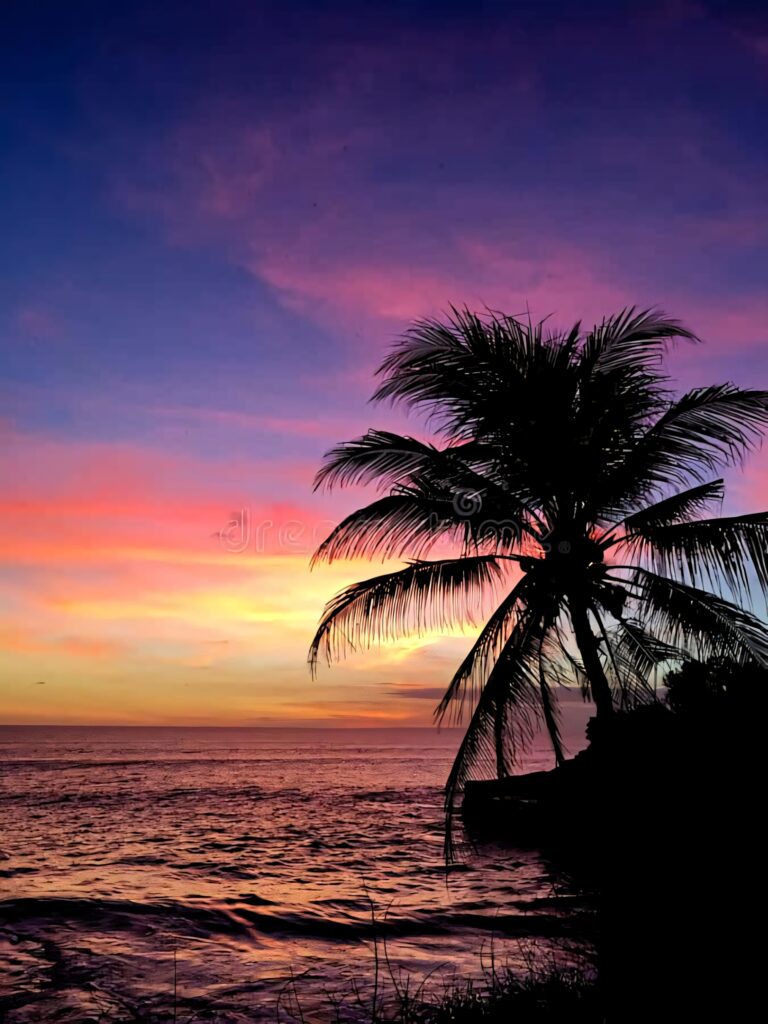 Tropical Beach Sunset Wallpaper: Silhouetted Palms & Vibrant Sky