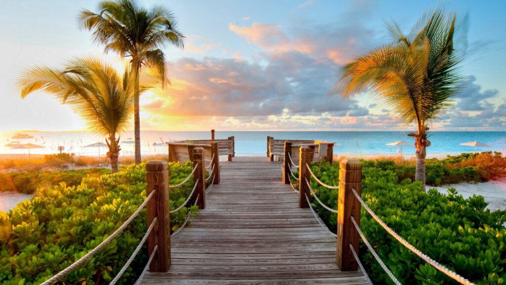 Wooden path through green bushes to tropical beach with palm trees calm sea and sunset sky Wallpaper