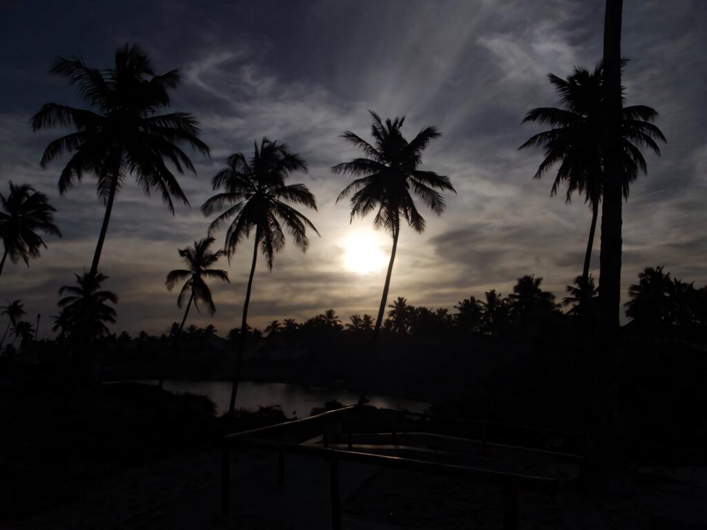 Tropical Beach Sunset Wallpaper with Silhouette Palm Trees Background