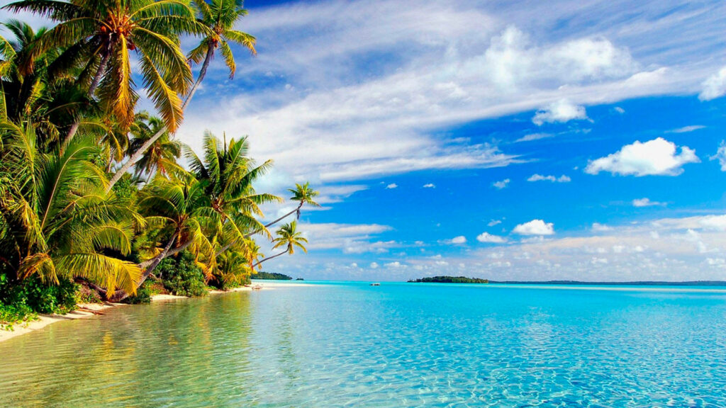 Serene Beach Wallpaper: Lush Palms & Crystal-Clear Waters