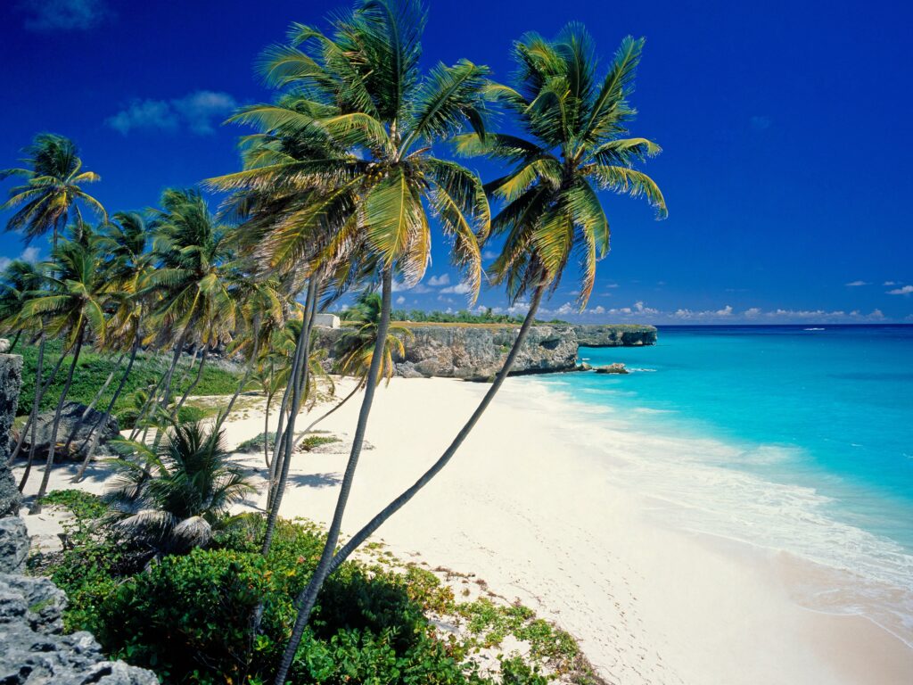 Tropical beach wallpaper with turquoise sea white sand and palm trees under blue sky background