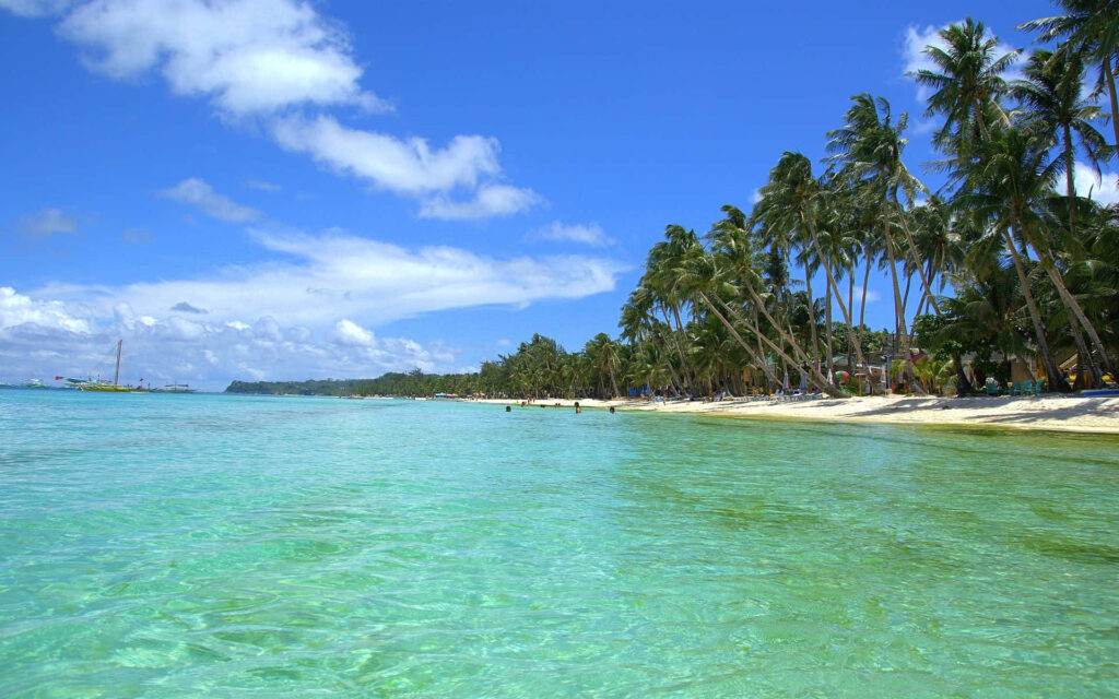 Stunning Tropical Beach Wallpaper: Paradise Vibes with Turquoise Waters