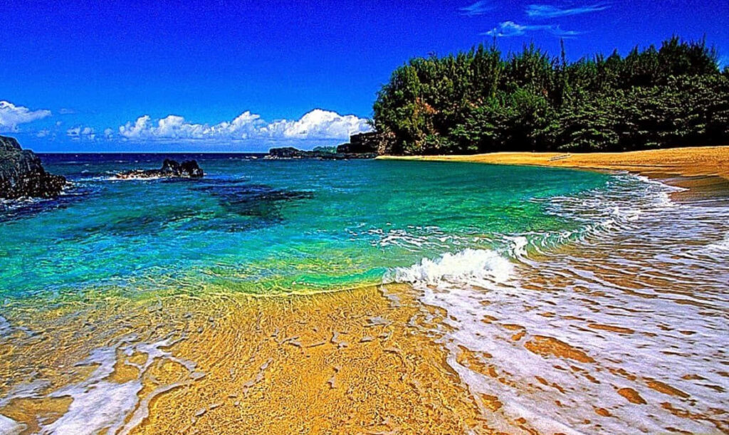 Tropical Beach Scene Wallpaper: Turquoise Waves & Golden Sand