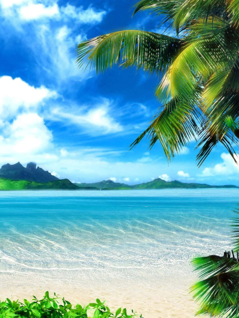 Tropical Beach Paradise Wallpaper - Crystal Waters & Lush Palms