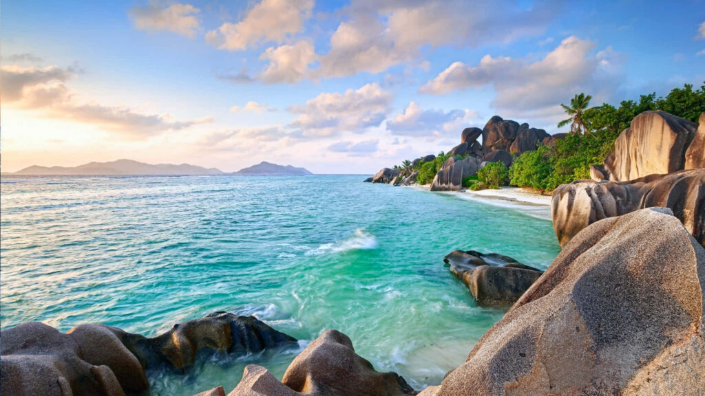 Tropical Beach Wallpaper: Pristine Waters & Lush Paradise Background