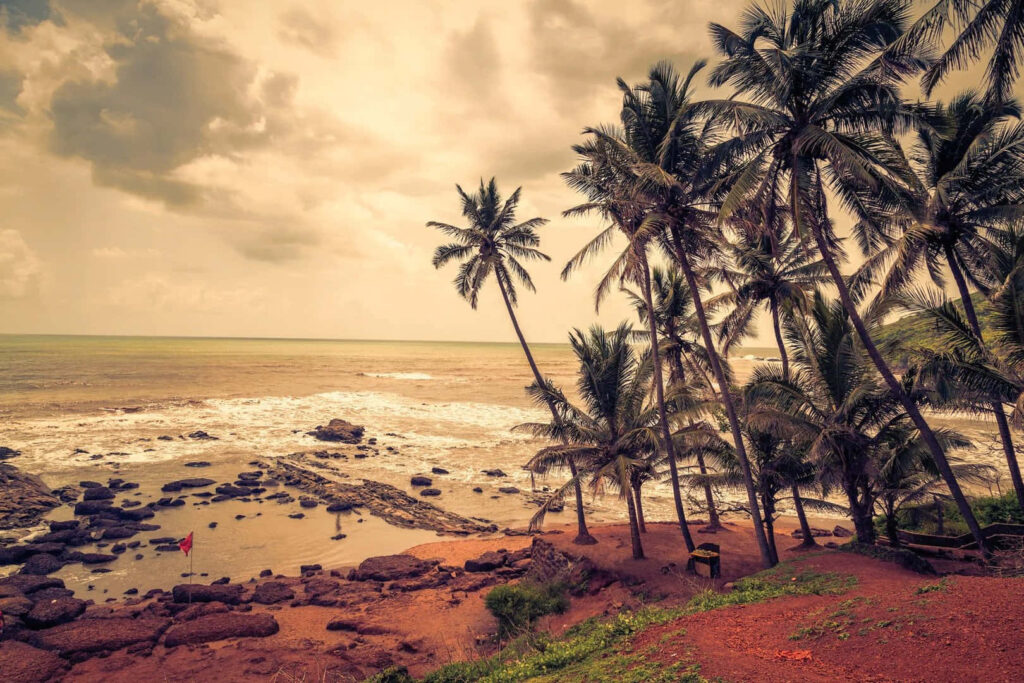 Tropical Beach Landscape: Lush Palms & Calm Sea Under Cloudy Sky Wallpaper