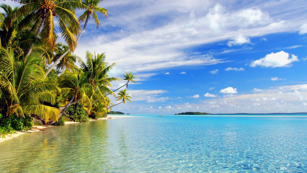 Stunning Tropical Beach Wallpaper: Crystal-Clear Waters & Palm Trees