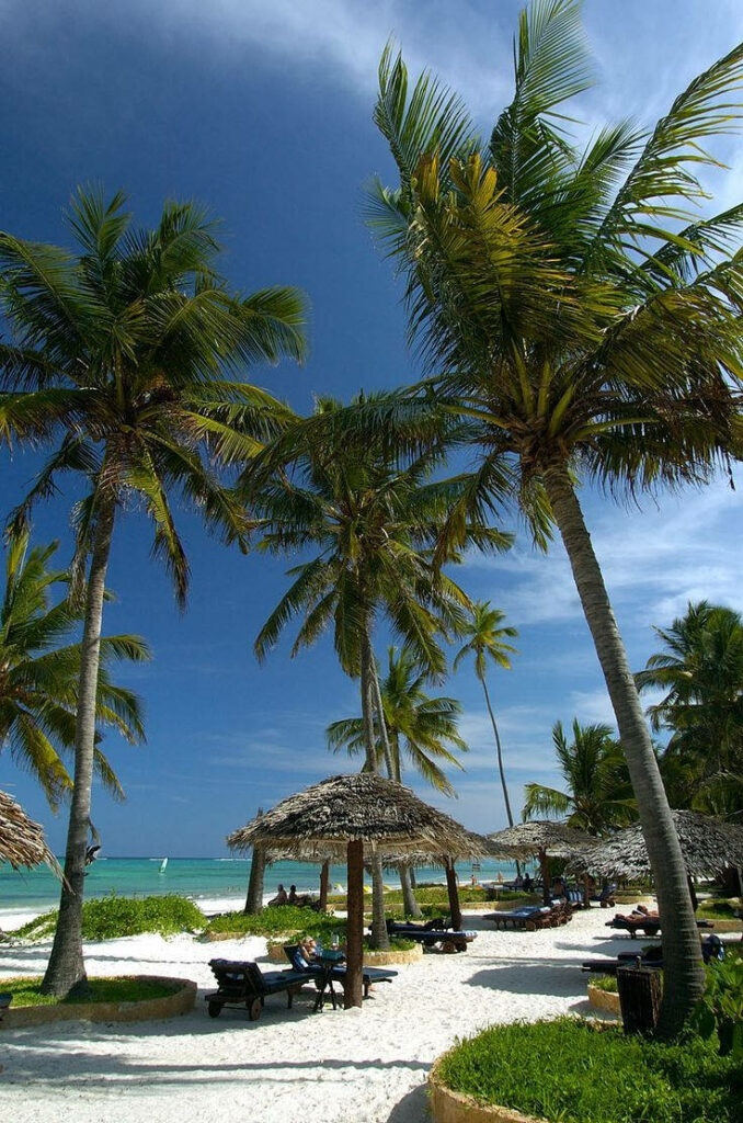 Tropical Beach Wallpaper: Tranquil Scene with Palm Trees & Ocean