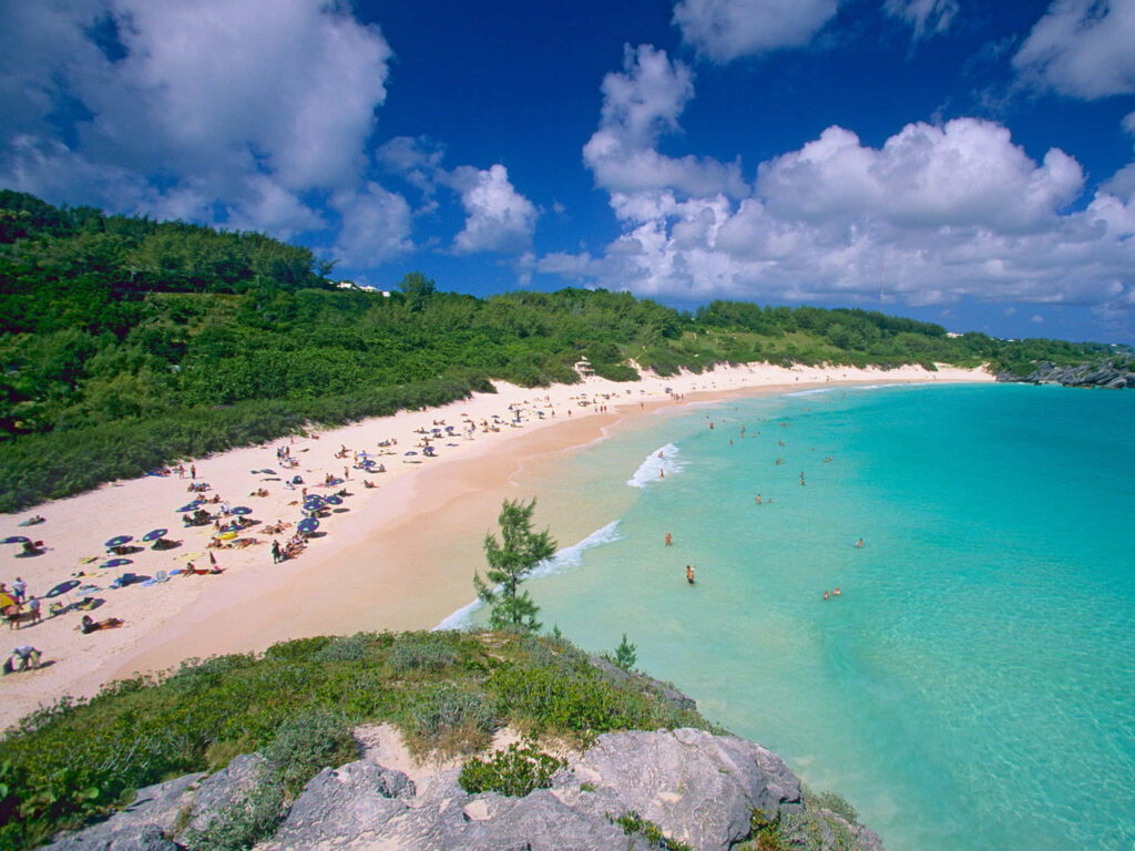 Tropical Beach Wallpaper: Pink Sand & Turquoise Waters Paradise