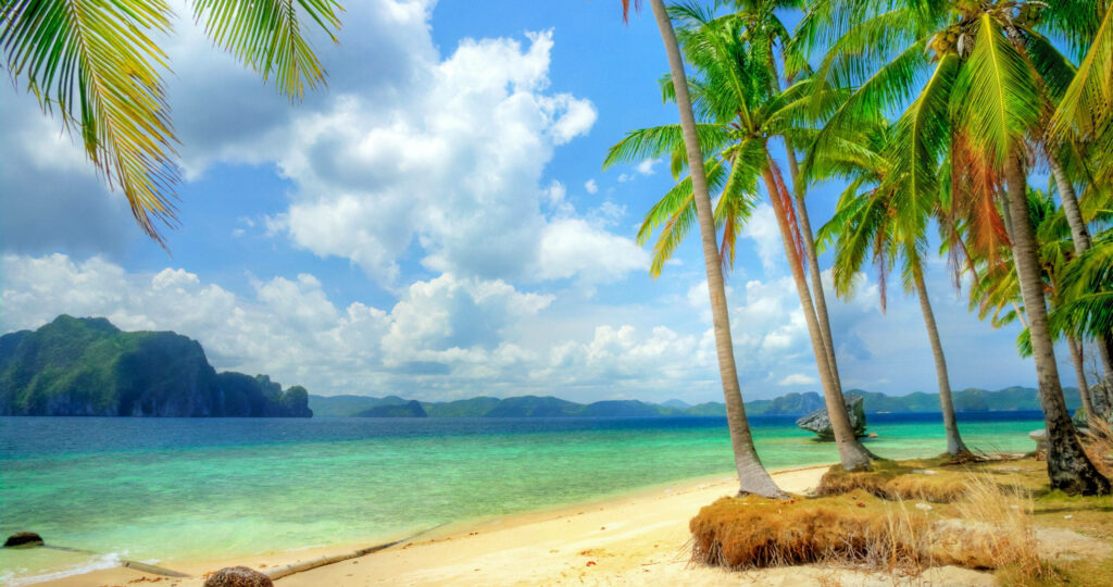 Serene Tropical Beach: Pristine Sand, Palm Trees & Turquoise Sea Wallpaper