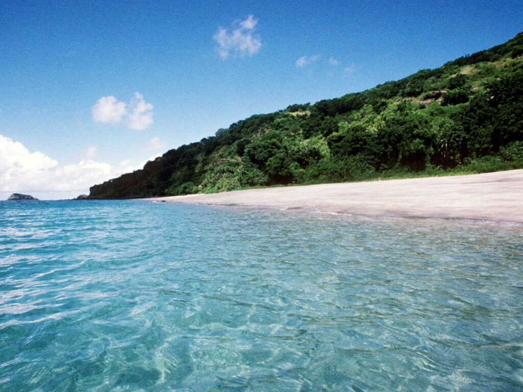 Serene Tropical Beach Wallpaper: Clear Blue Waters & Lush Shoreline