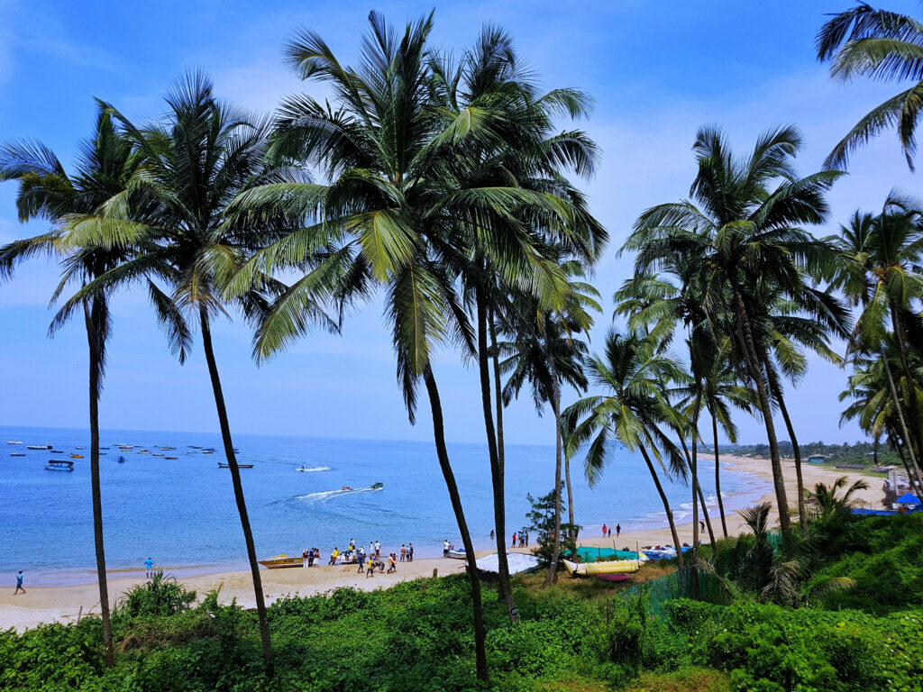 Tropical Beach Wallpaper: Lush Palm Trees & Vibrant Blue Waters