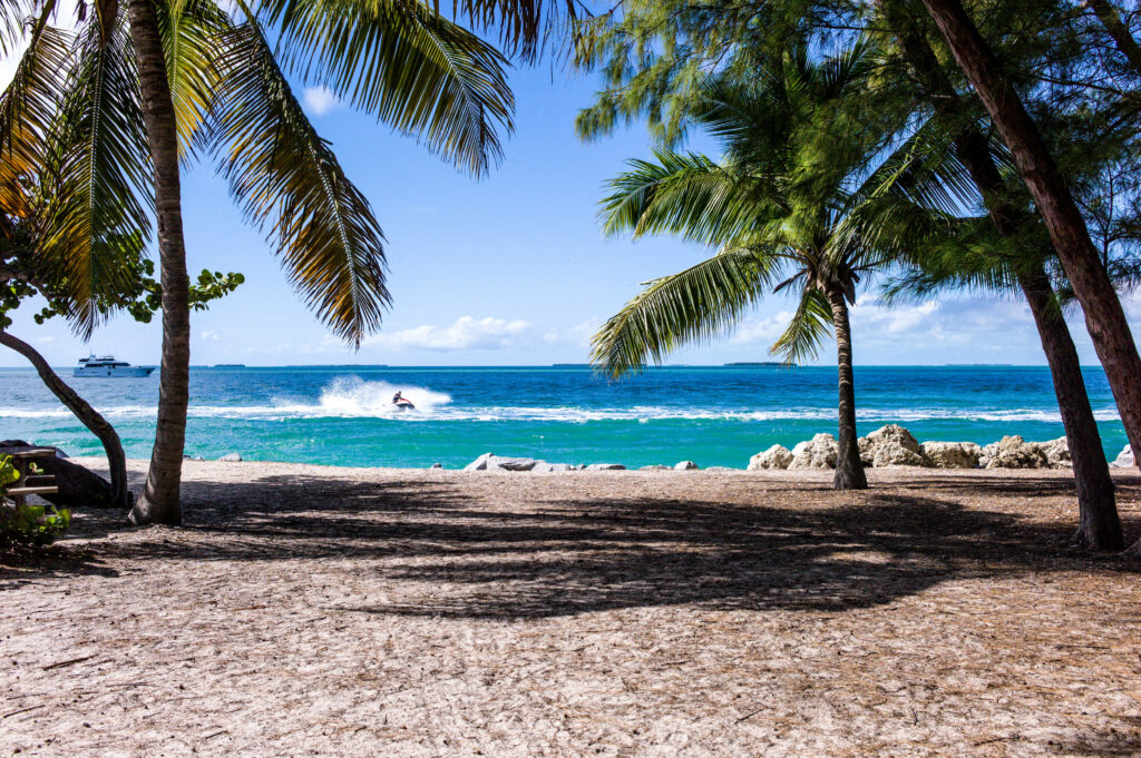 Tropical Beach Wallpaper: Coconut Trees & Turquoise Waters