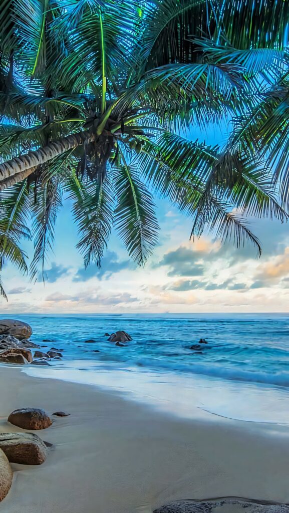 Tropical Beach iPhone Wallpaper: Serene Ocean & Palm Trees Background