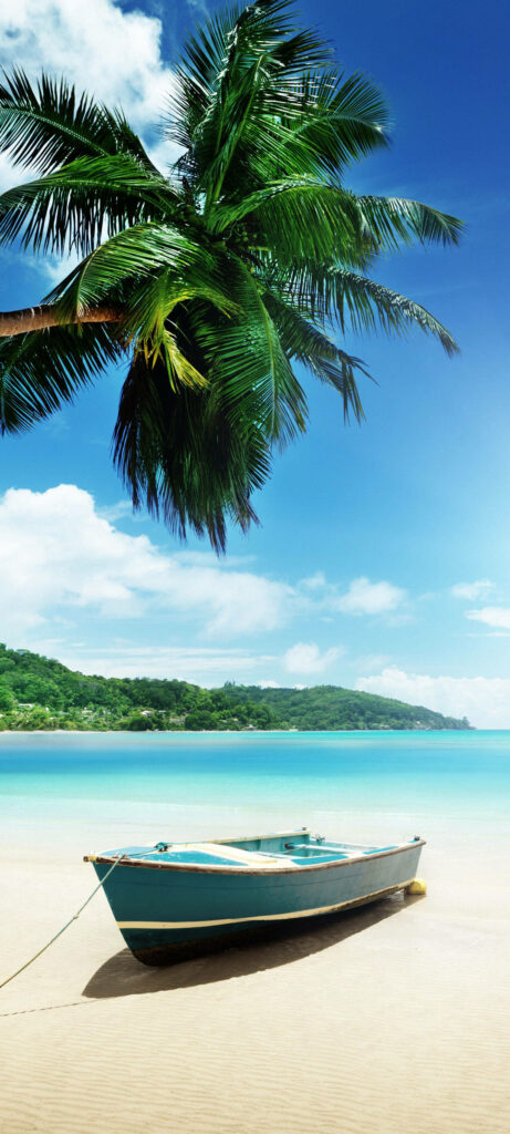 Tropical Beach Wallpaper: Serene Scene with Boat & Palm Tree